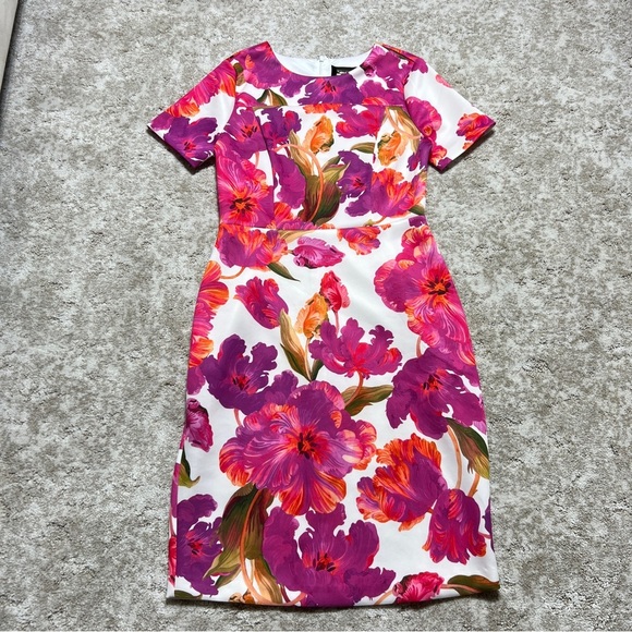 Alexia Admor Dresses & Skirts - Alexia Almor Floral Print Dress - Pink and Orange Size 4